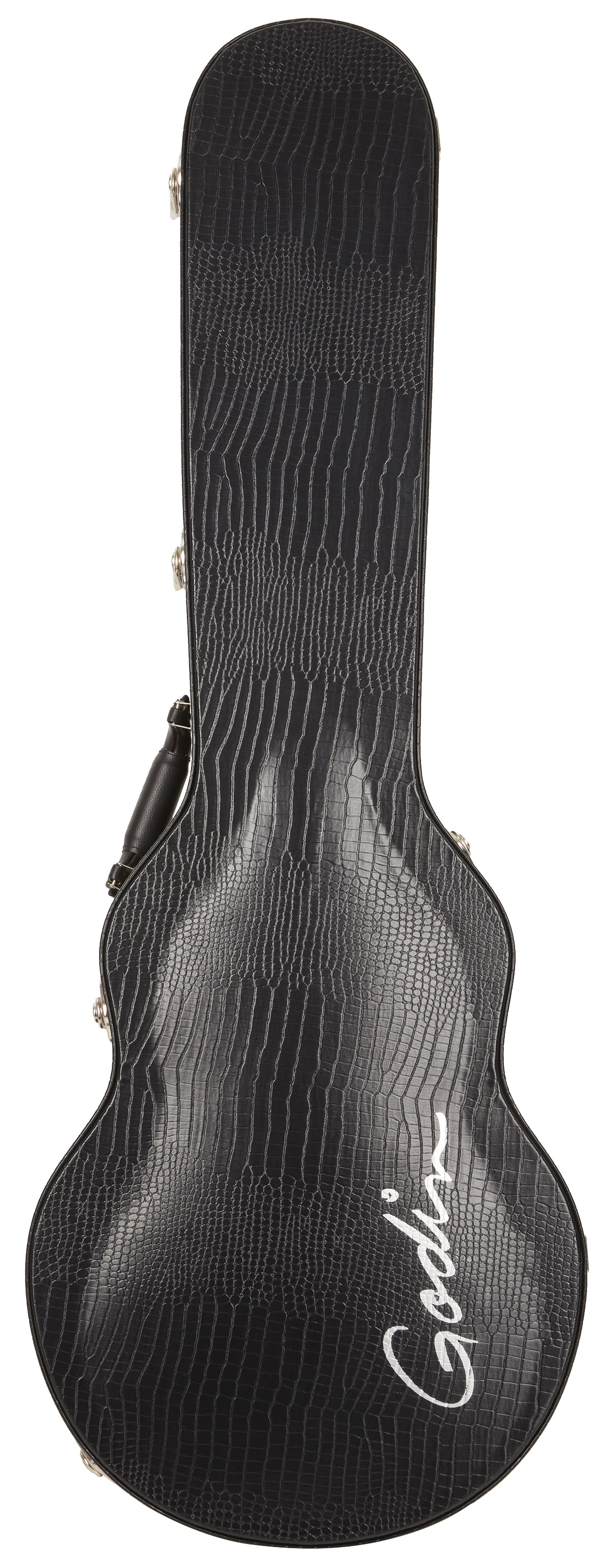 Levně Godin Case Summit/Core