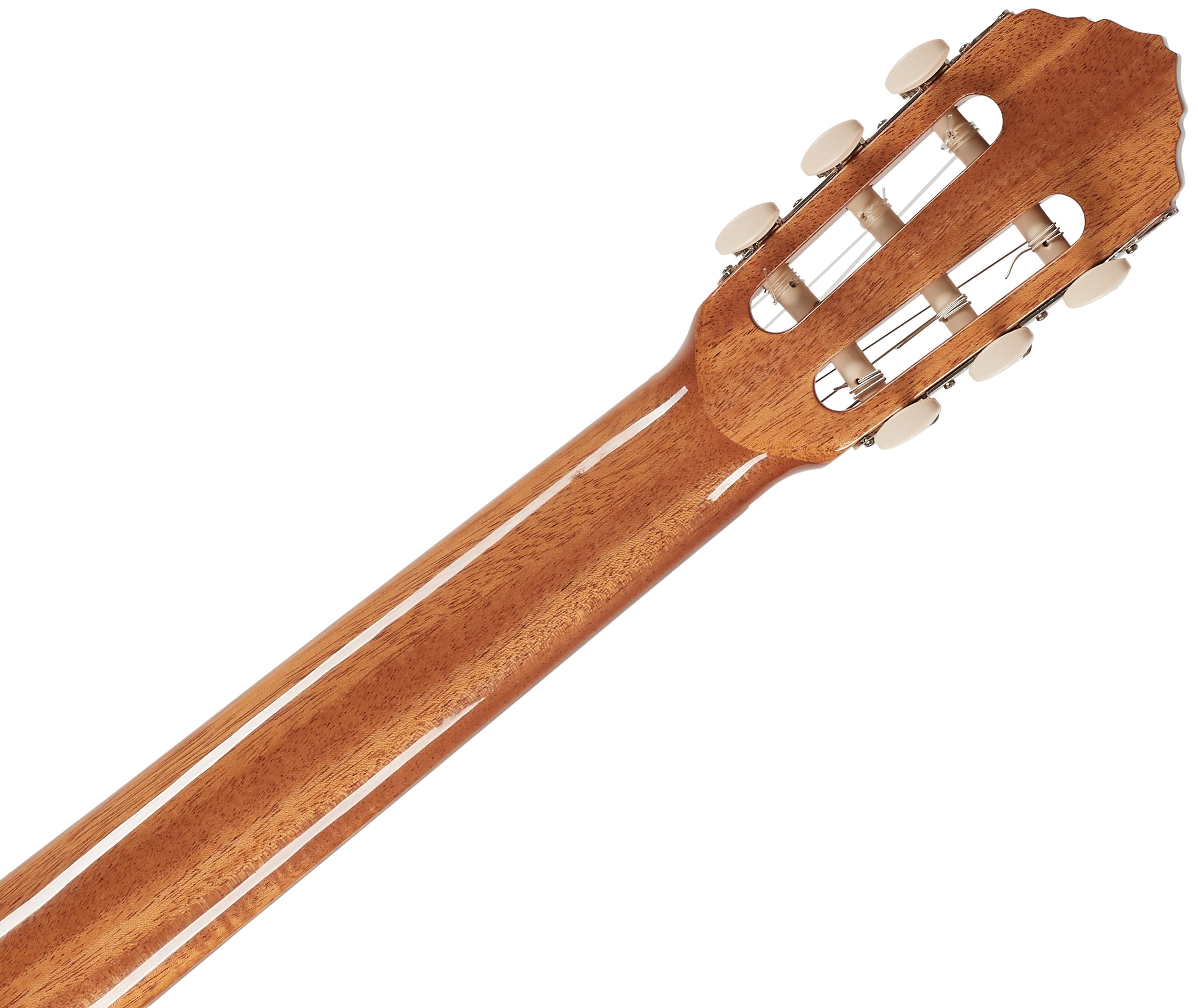 Ortega R19G (obrázek 5)