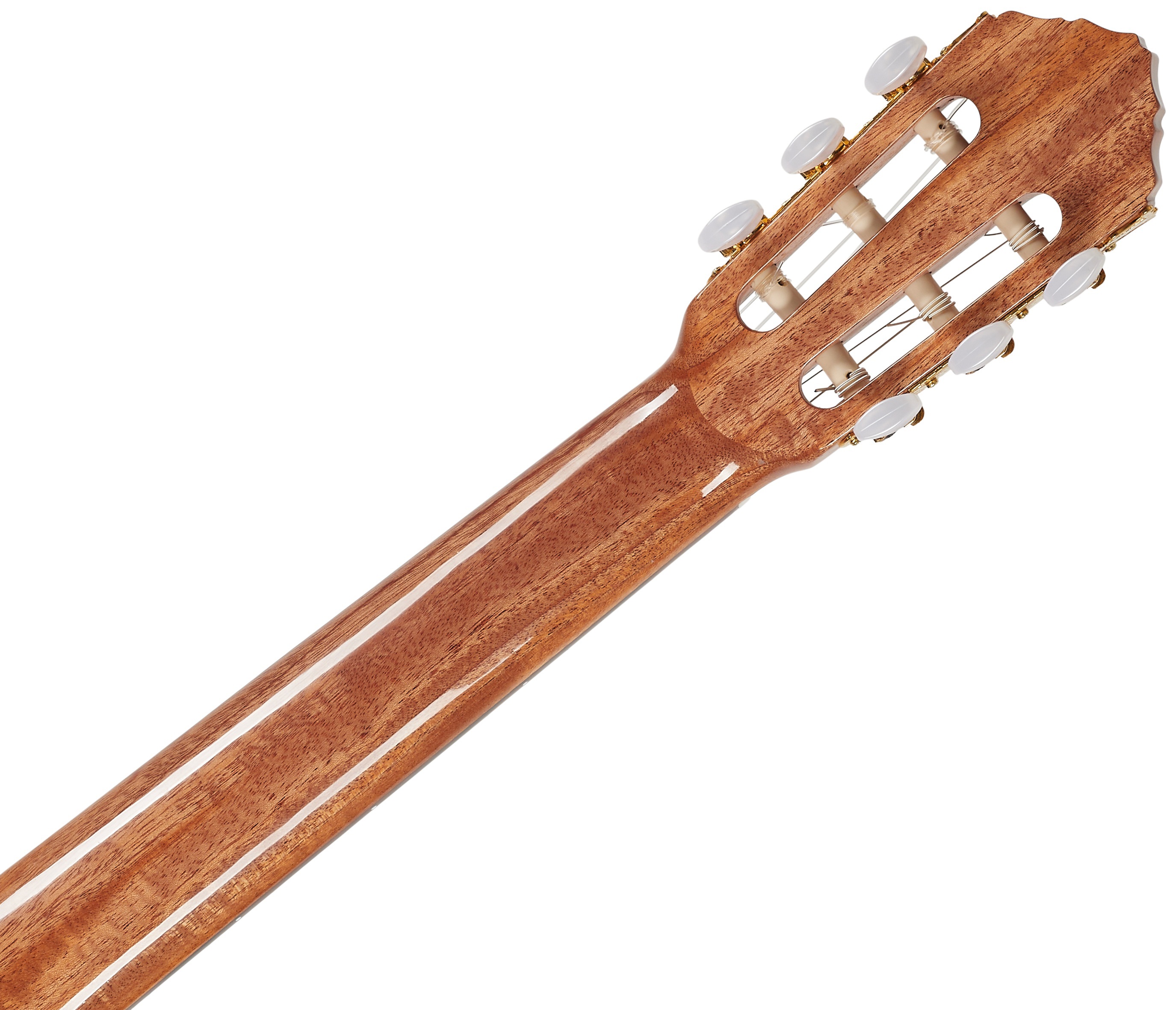 Ortega R20GWN (obrázek 5)