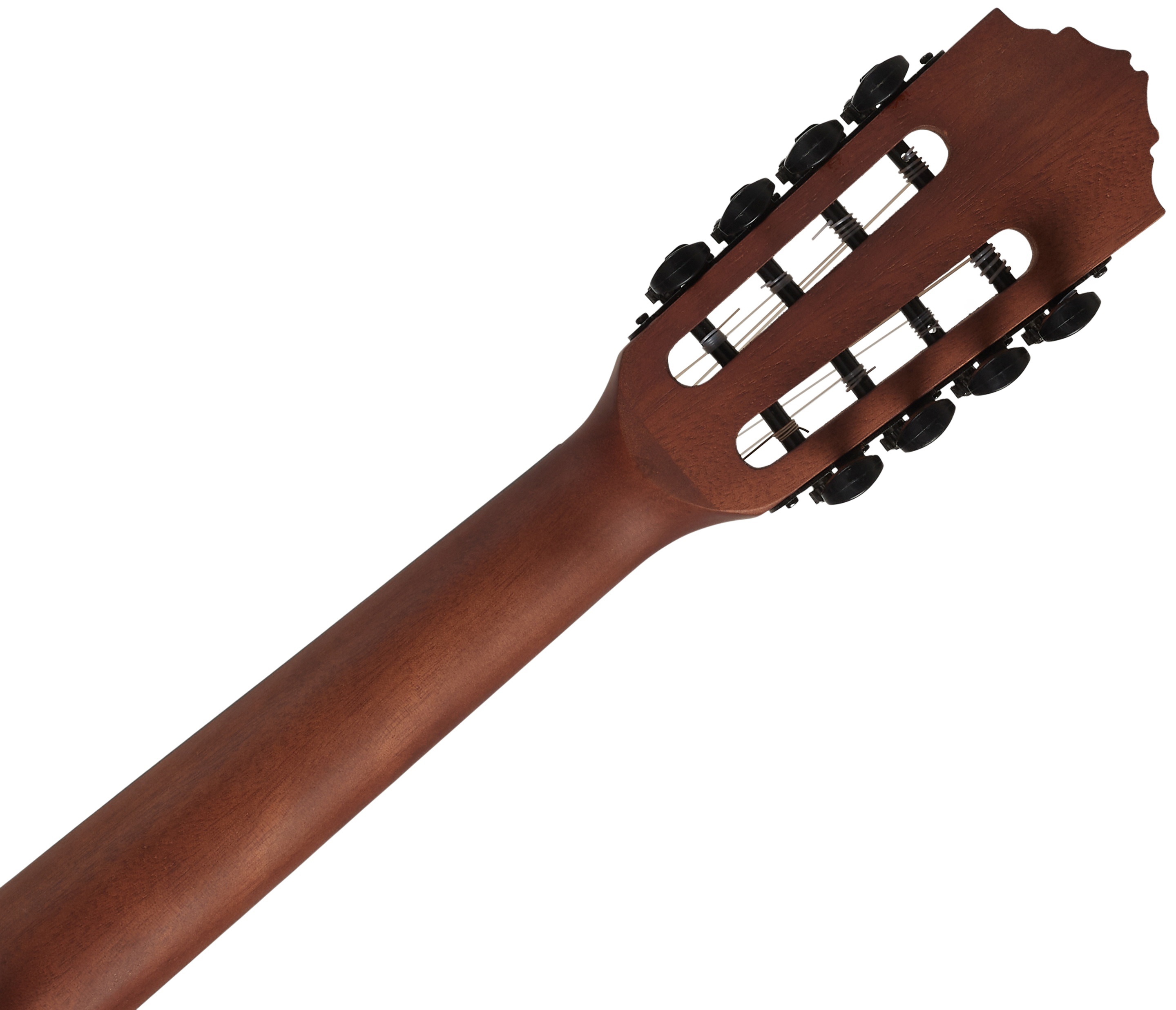 Ortega RU4MM-TE-8 (obrázek 5)