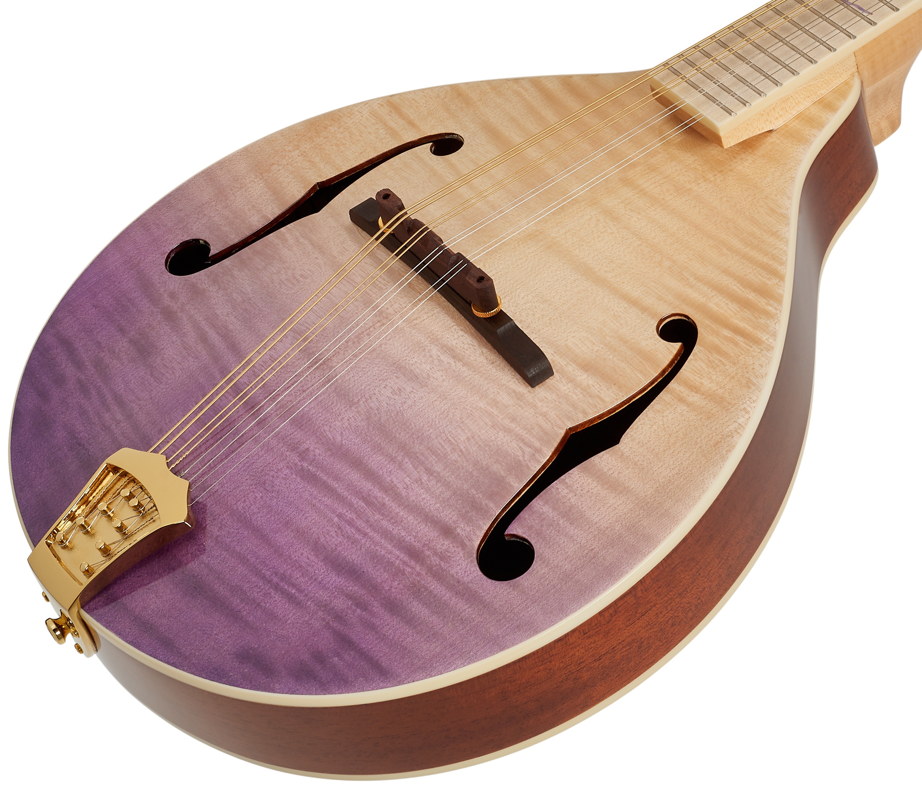 Ortega RMA200PF (obrázek 3)