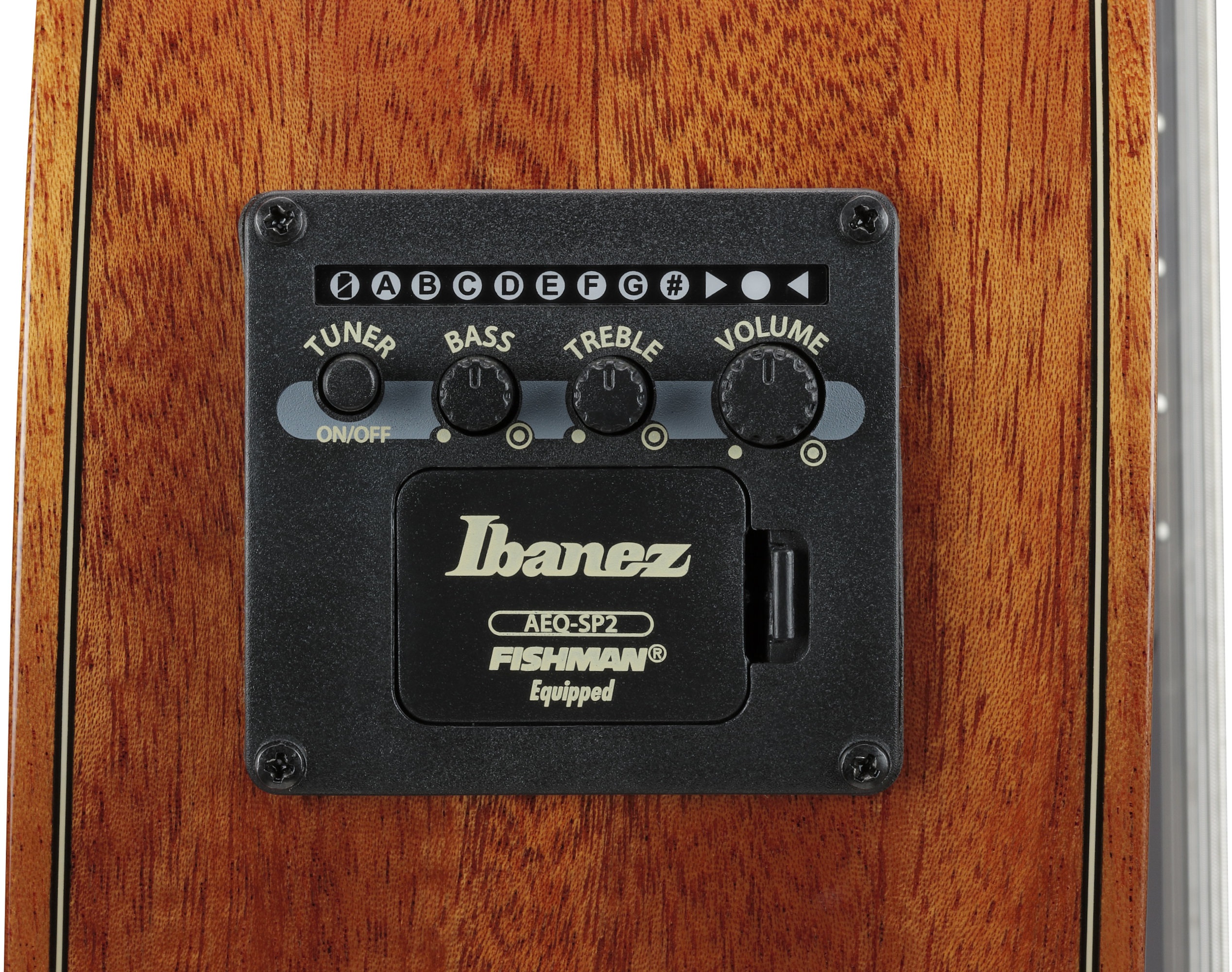 Ibanez GA3007CE NT (obrázek 4)