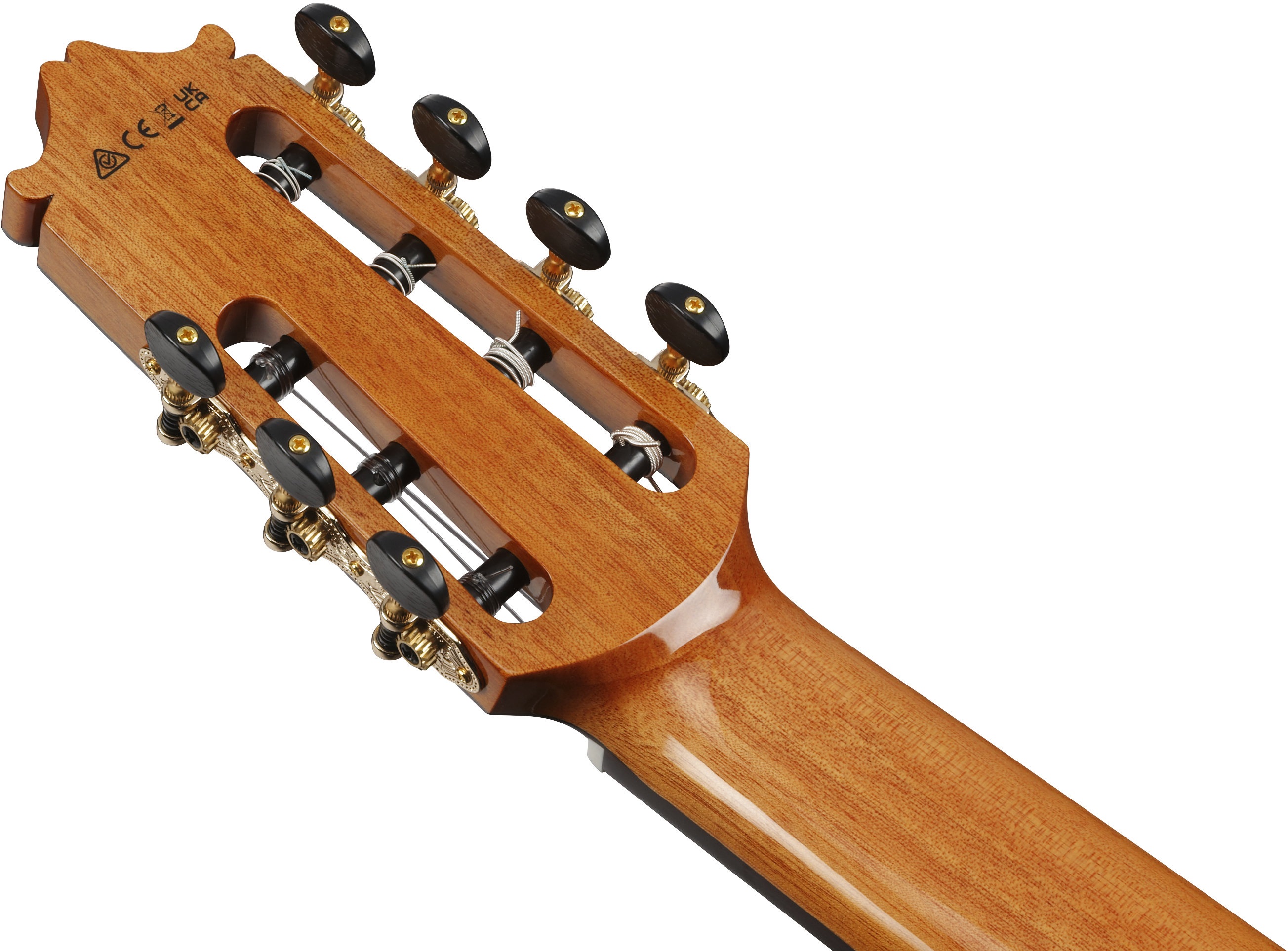 Ibanez GA3007CE NT (obrázek 7)