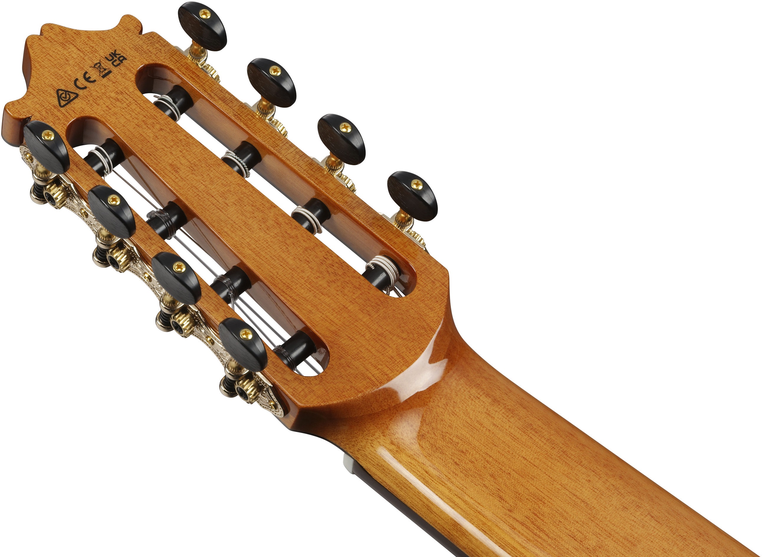 Ibanez GA3008CE NT (obrázek 7)