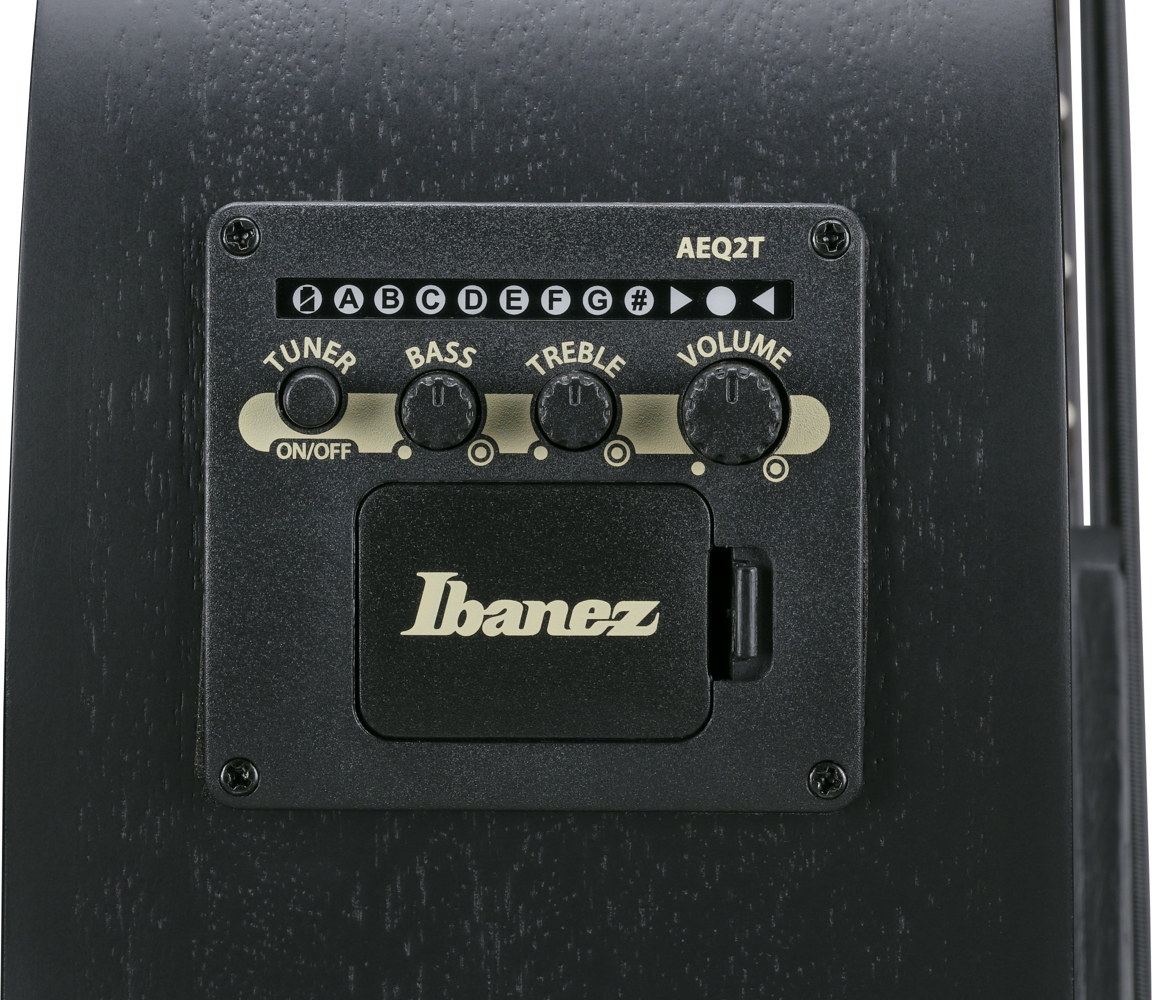 Ibanez AEGB420 BOT (obrázek 4)