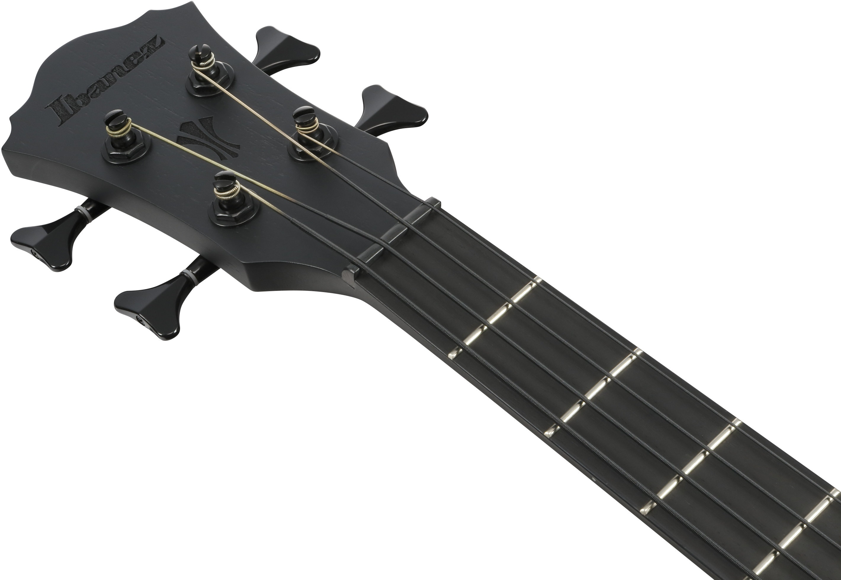 Ibanez AEGB420 BOT (obrázek 6)
