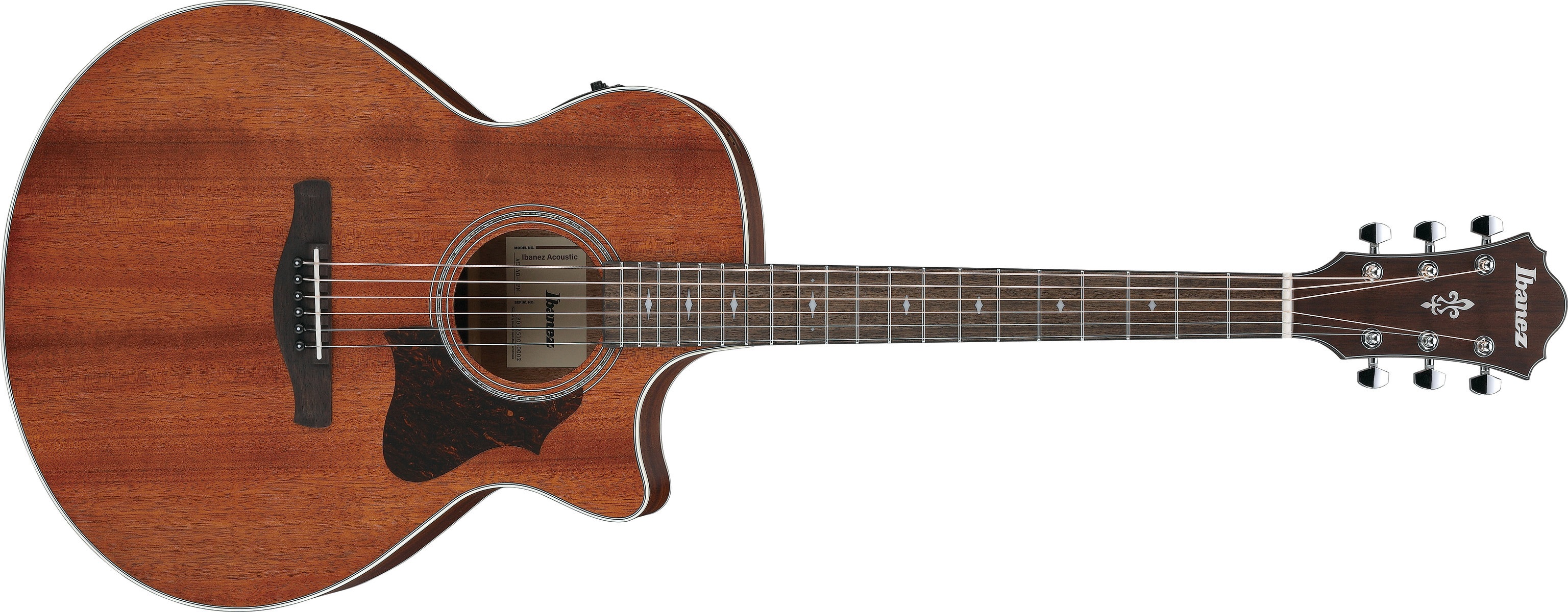 Levně Ibanez AE140 OPN