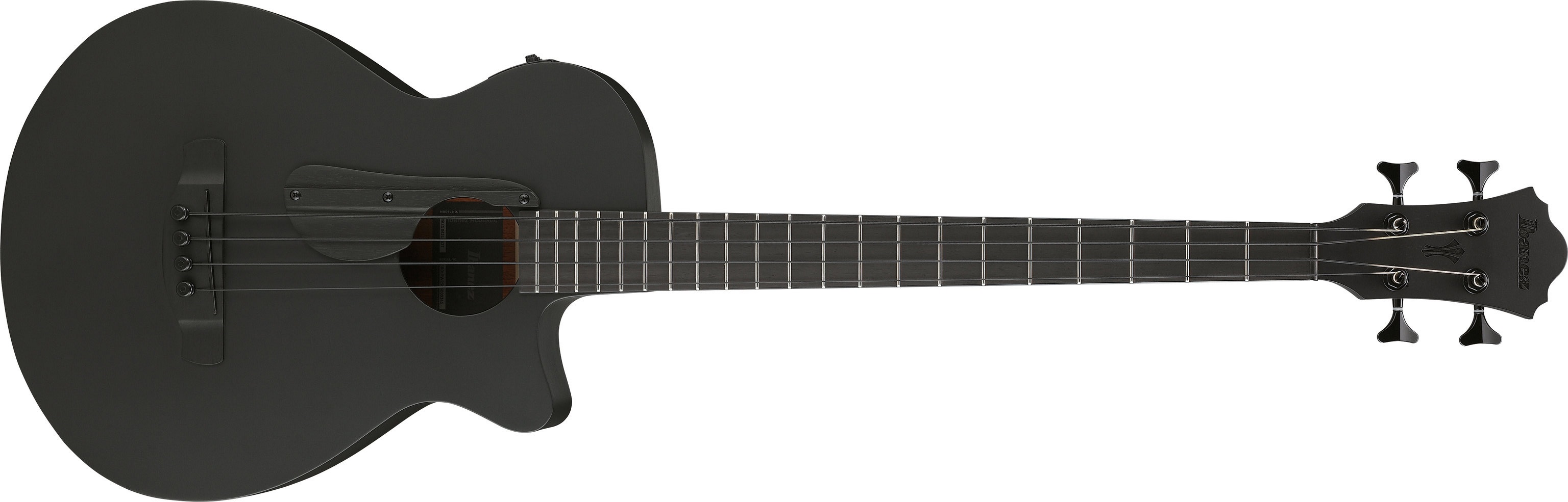 Ibanez AEGB420 BOT