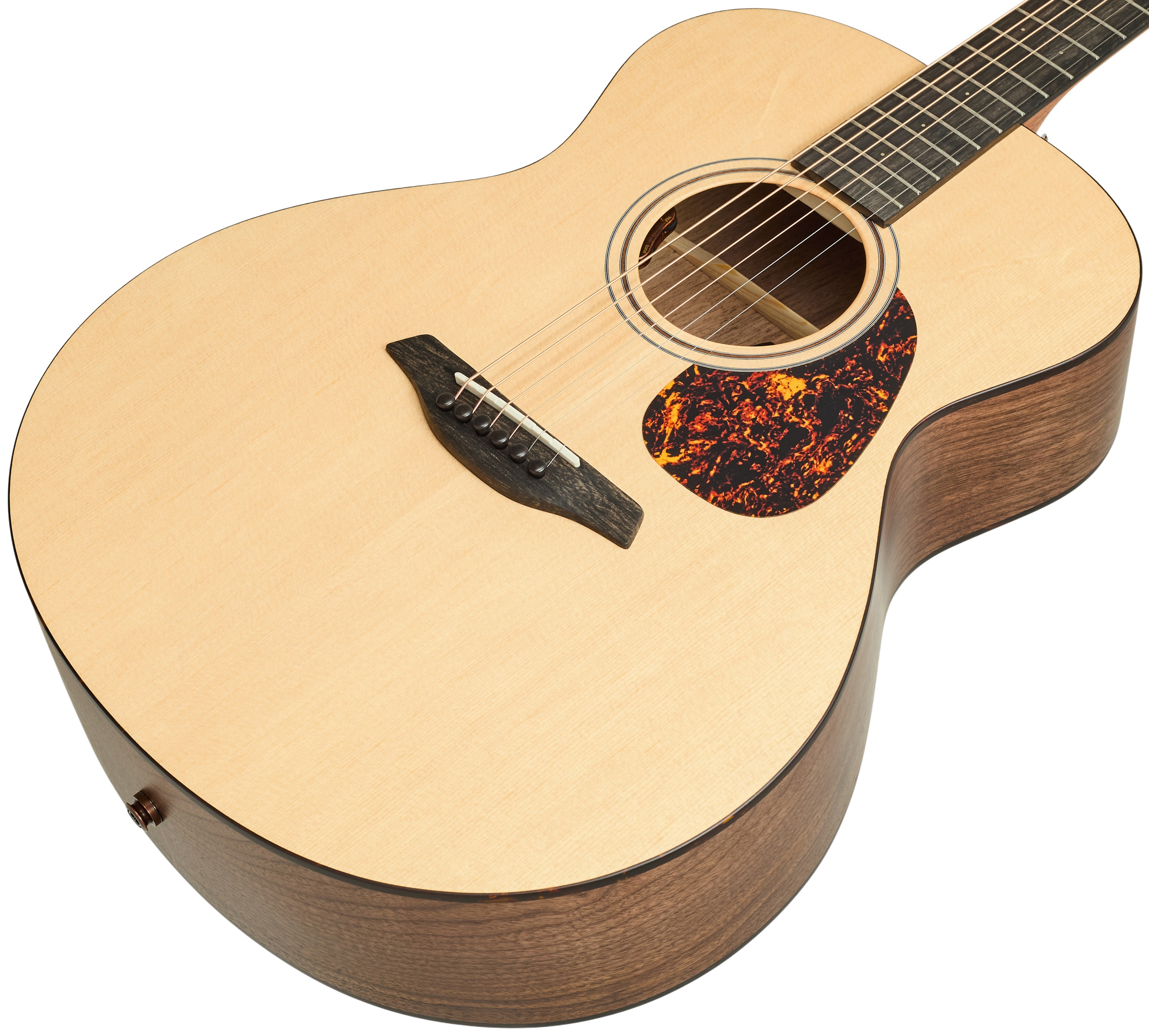 Furch Blue G-SW L.R. Baggs EAS-VTC CNR Active (obrázek 3)