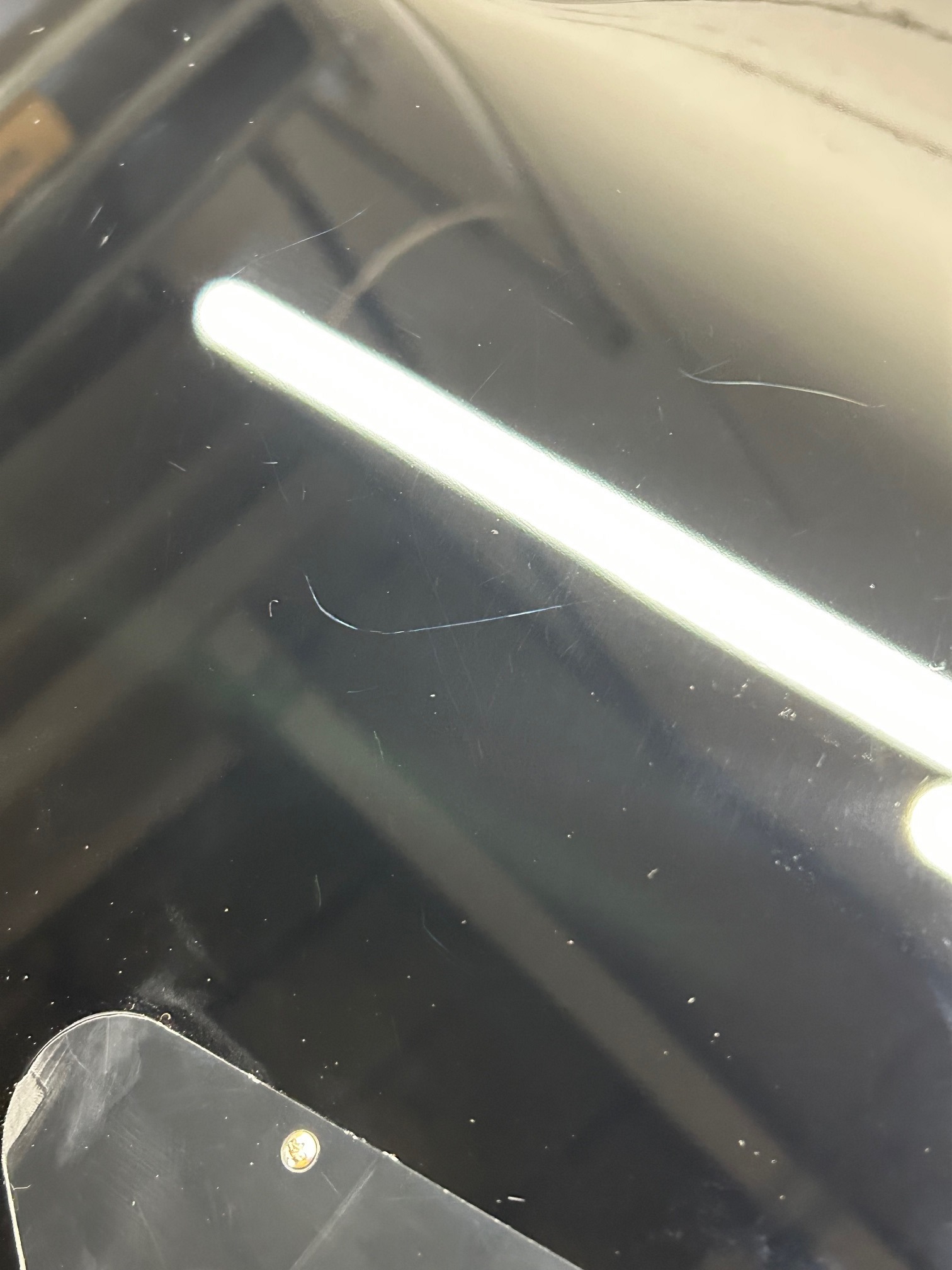 Blond SGS-100 Black (použité) (obrázek 7)