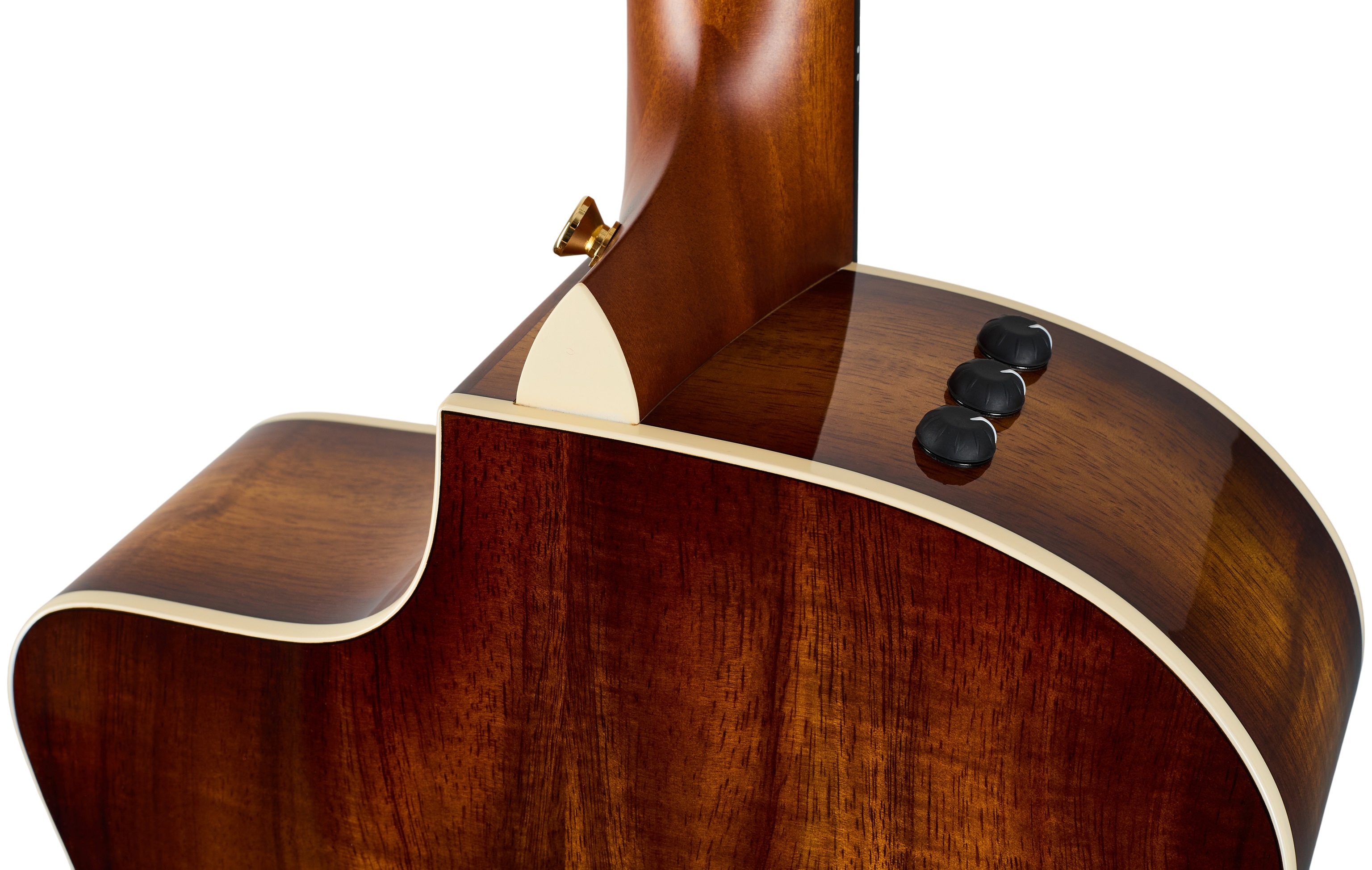 Taylor 214ce-K DLX Special Edition Honeyburst (obrázek 4)