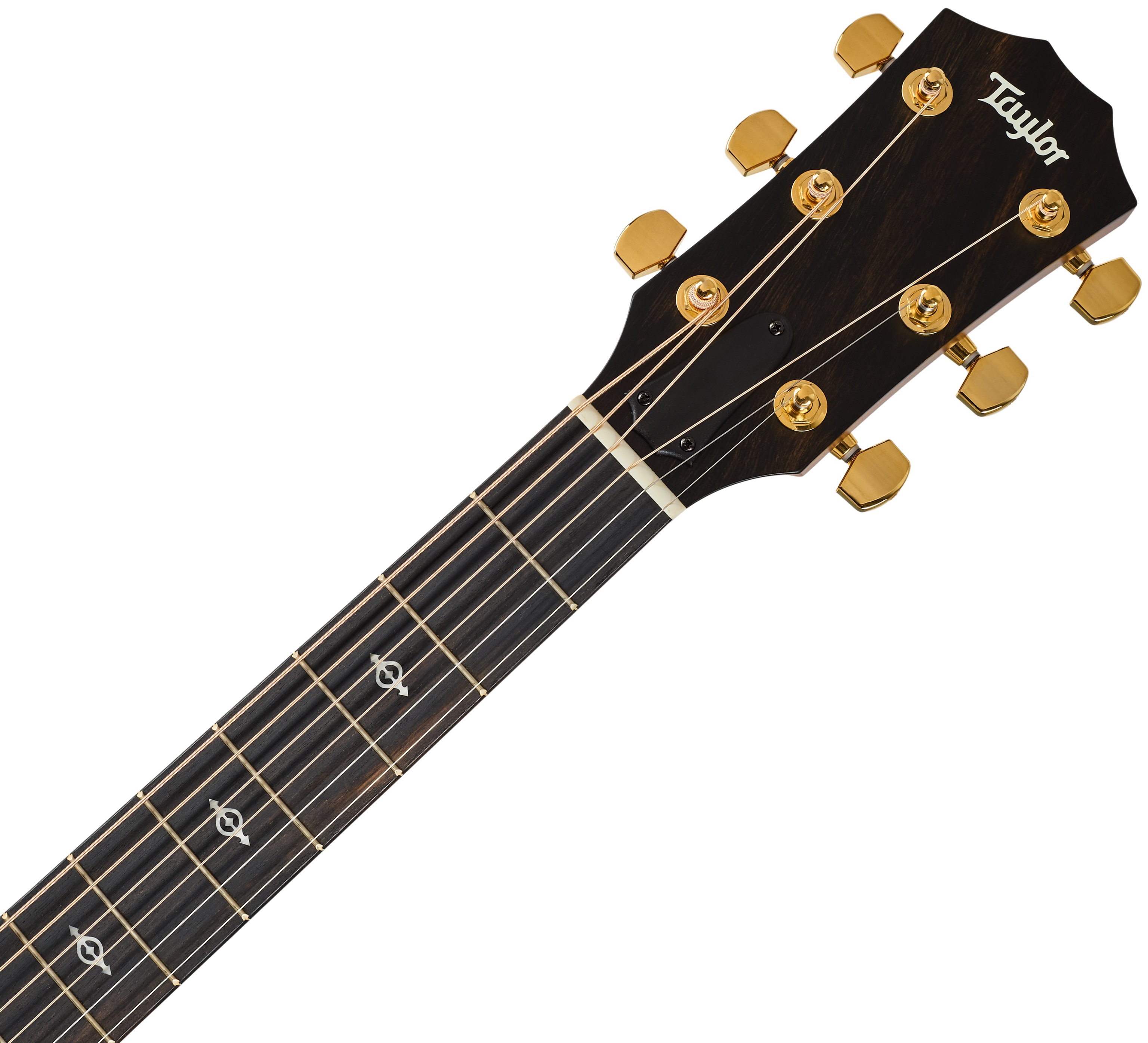 Taylor 214ce-K DLX Special Edition Honeyburst (obrázek 5)