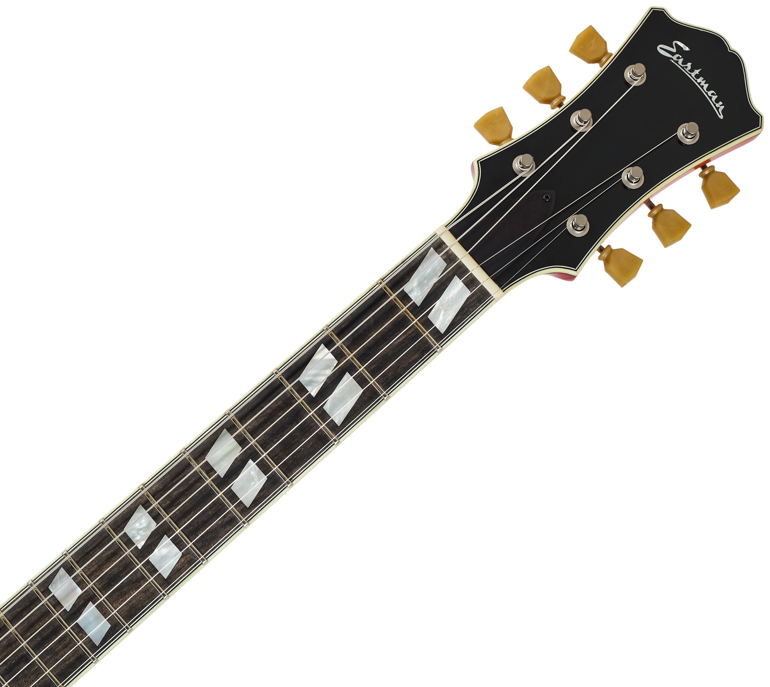 Eastman T59/TV-RD (obrázek 4)