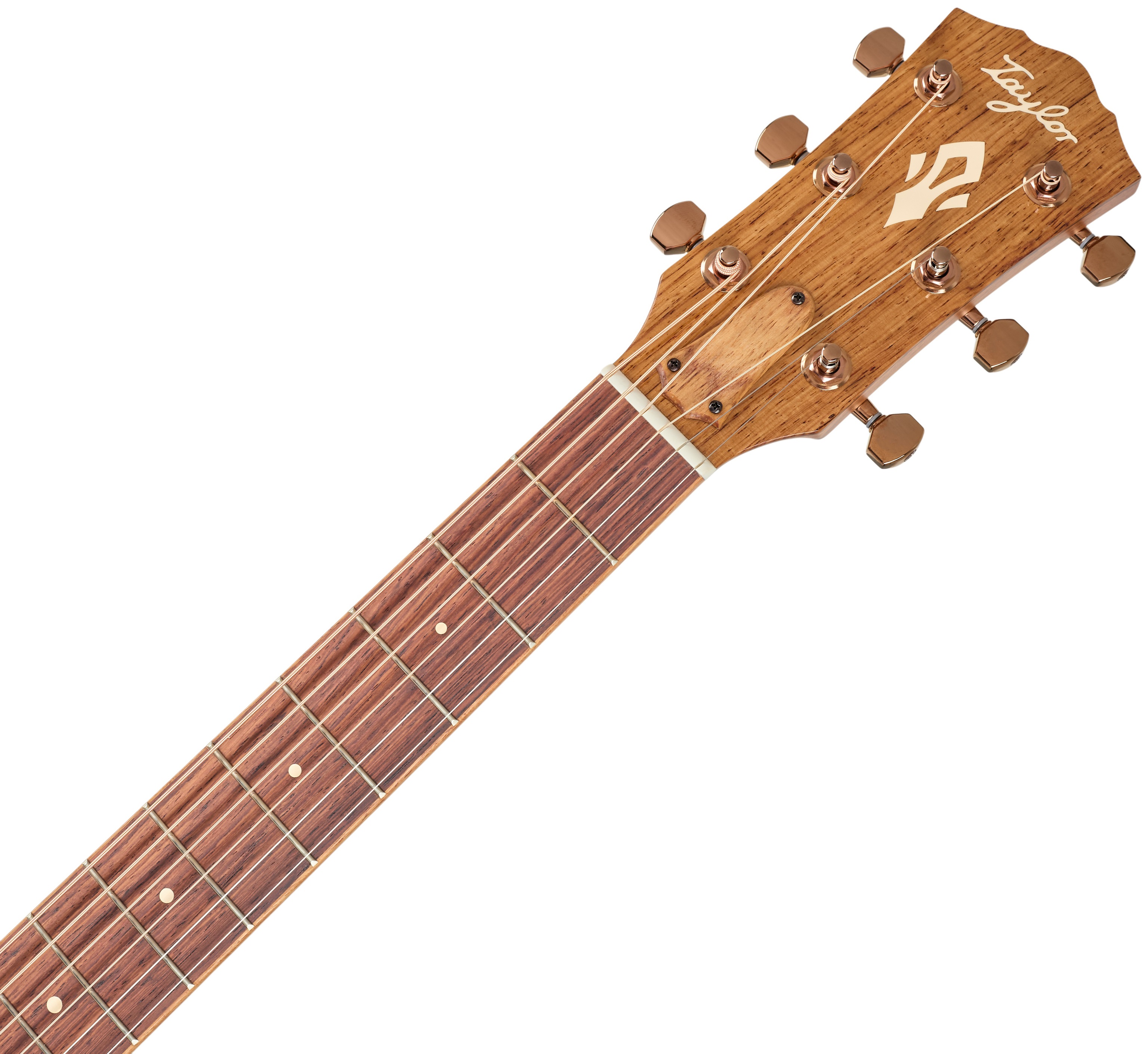 Taylor Ben Harper Gold Label 512e Special Edition (obrázek 4)