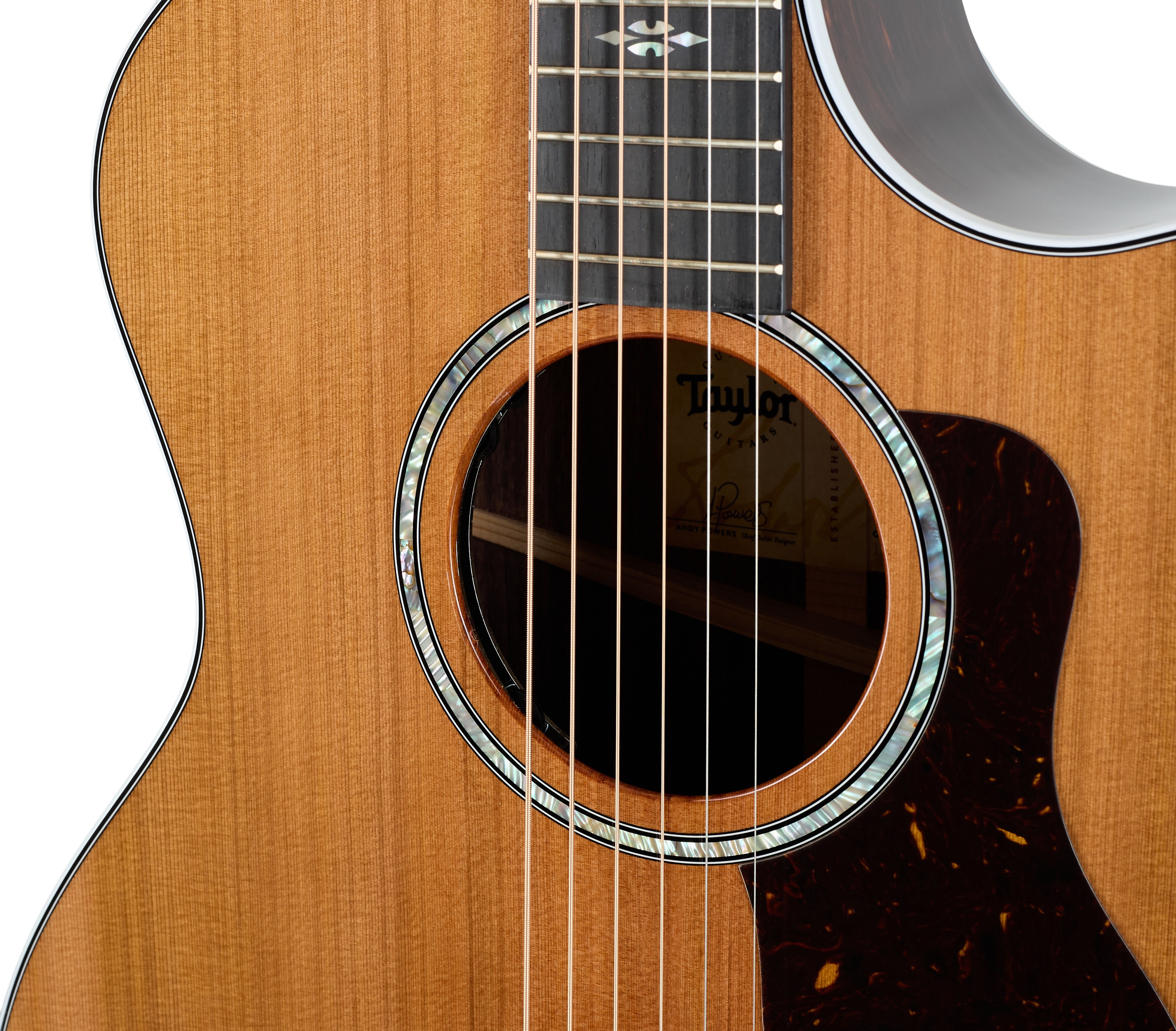 Taylor 714ce Next Generation (obrázek 4)