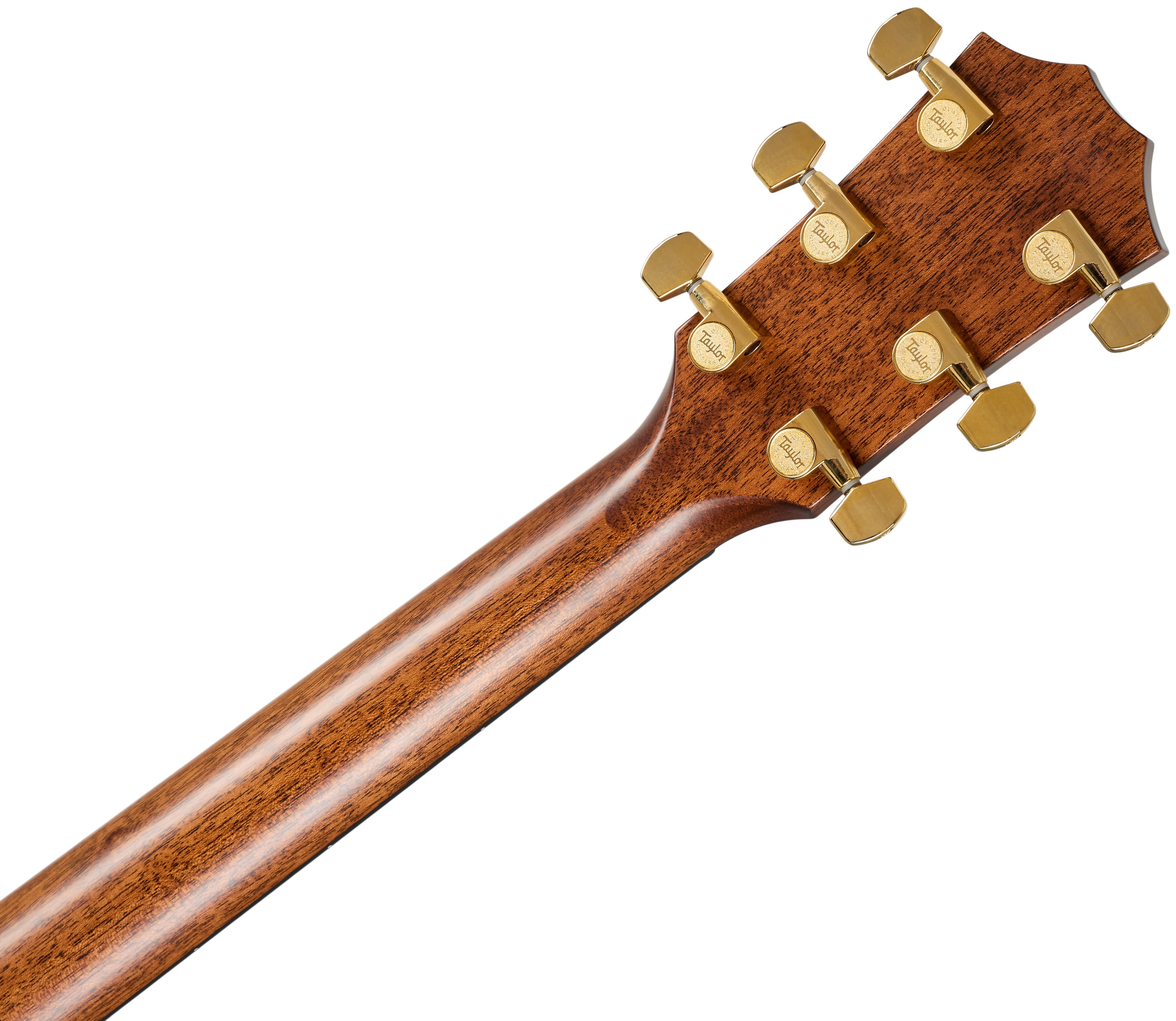 Taylor 714ce Next Generation (obrázek 6)