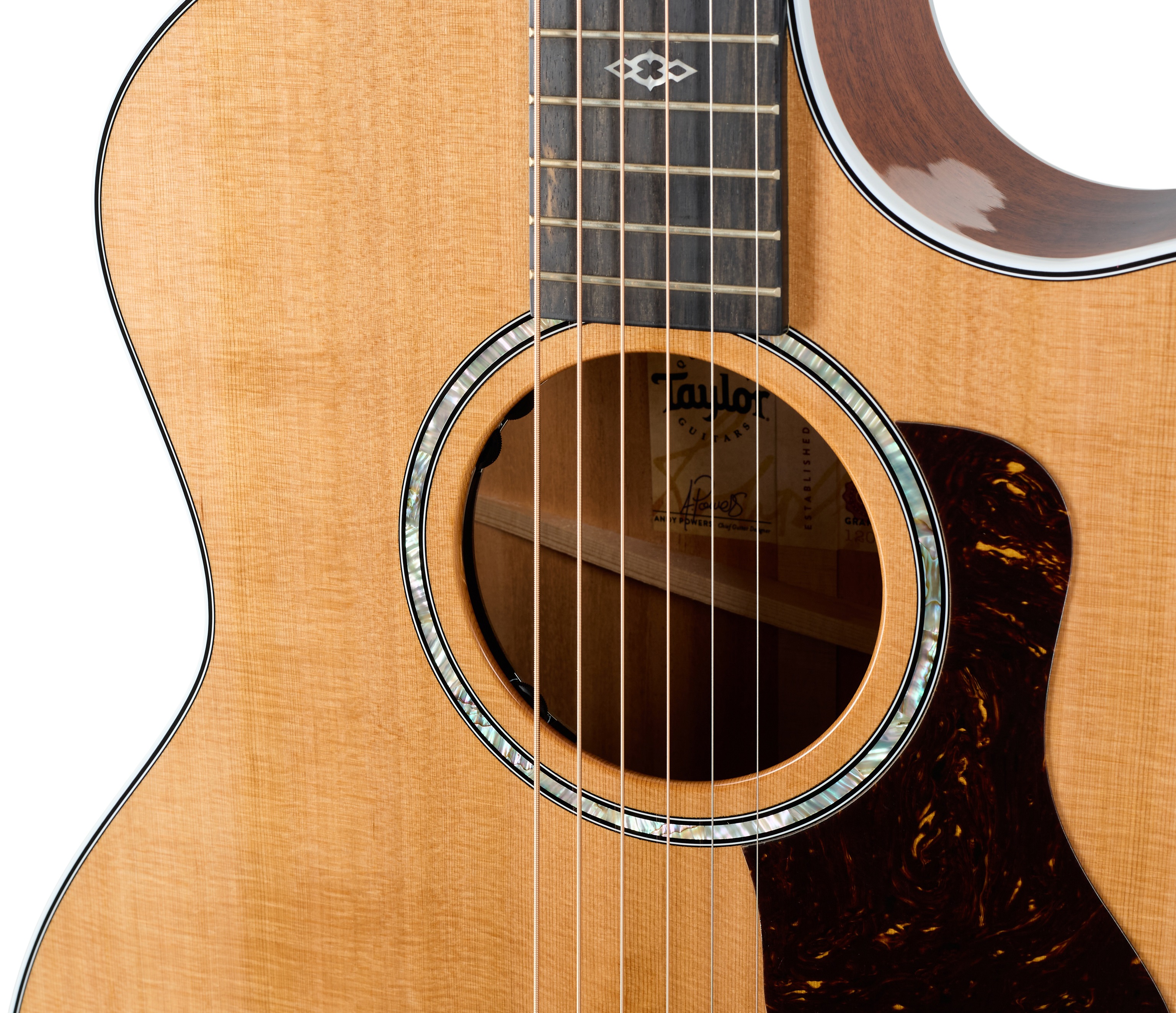 Taylor 514ce Next Generation (obrázek 4)