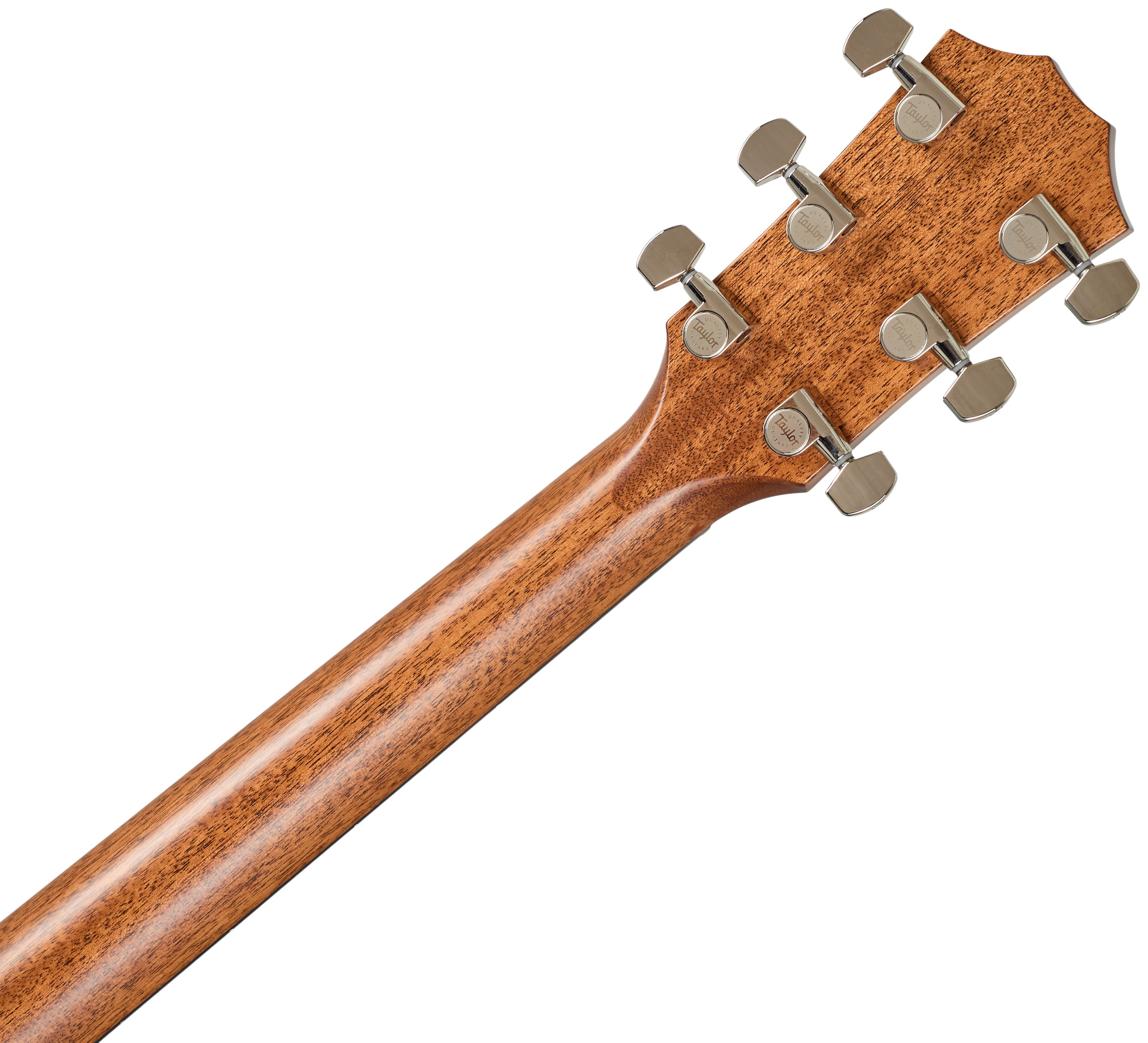 Taylor 514ce Next Generation (obrázek 6)