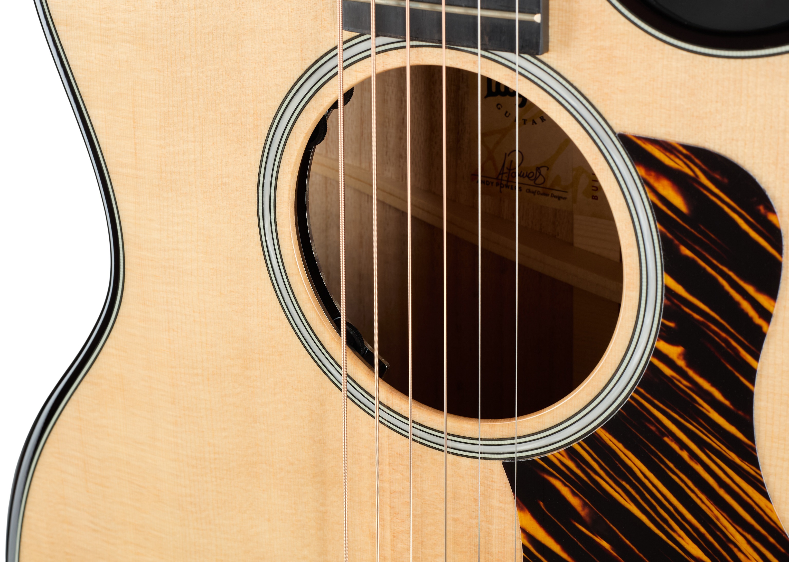 Taylor Builder's Edition 514ce Natural Next Generation (obrázek 5)