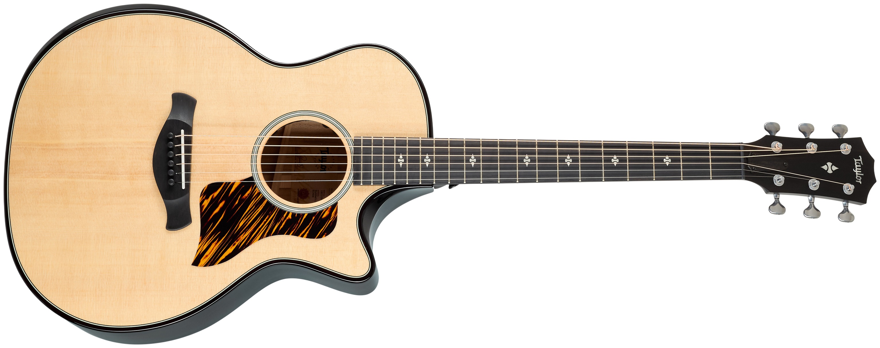 Levně Taylor Builder's Edition 514ce Natural Next Generation