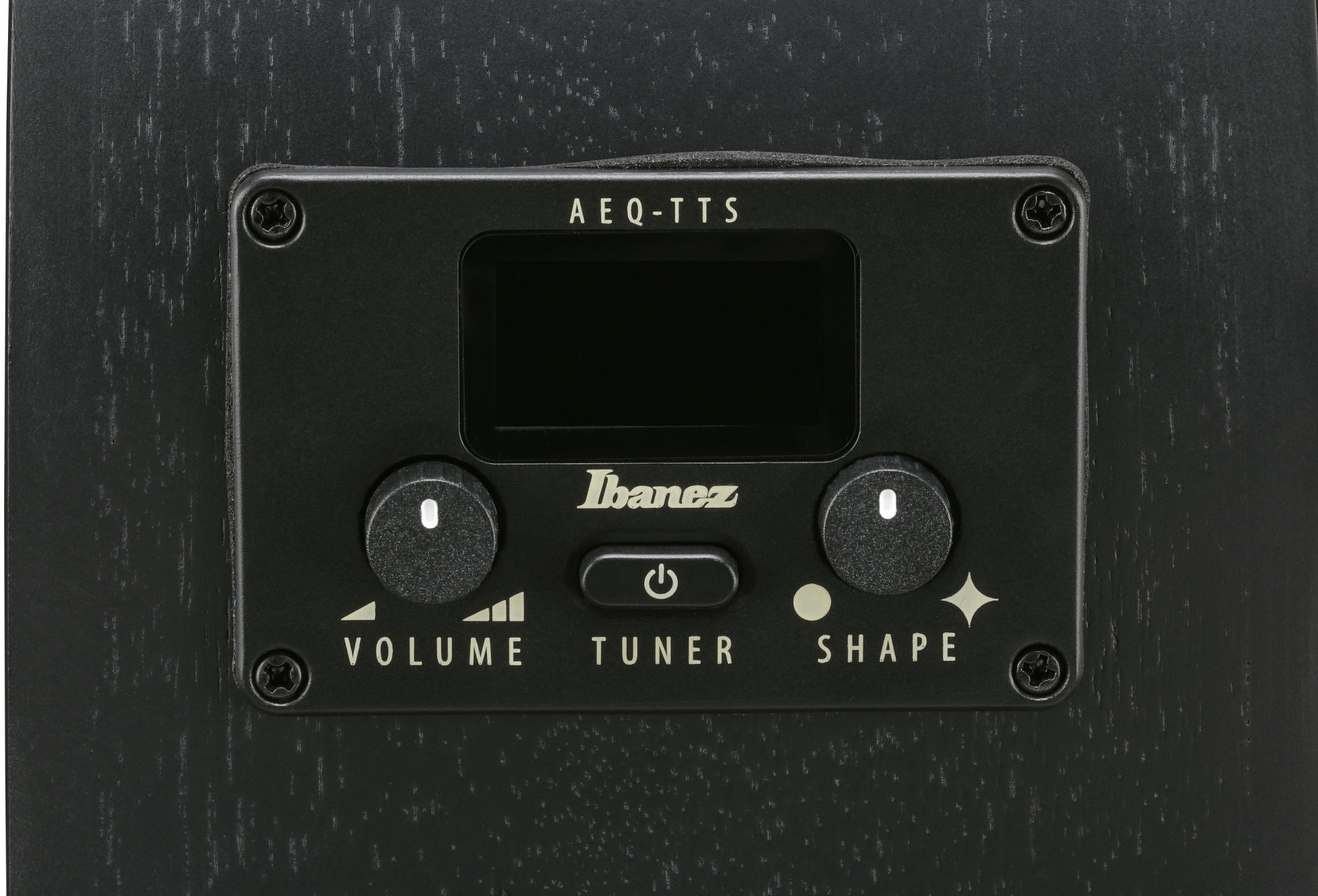 Ibanez AEG621-BOT (obrázek 8)