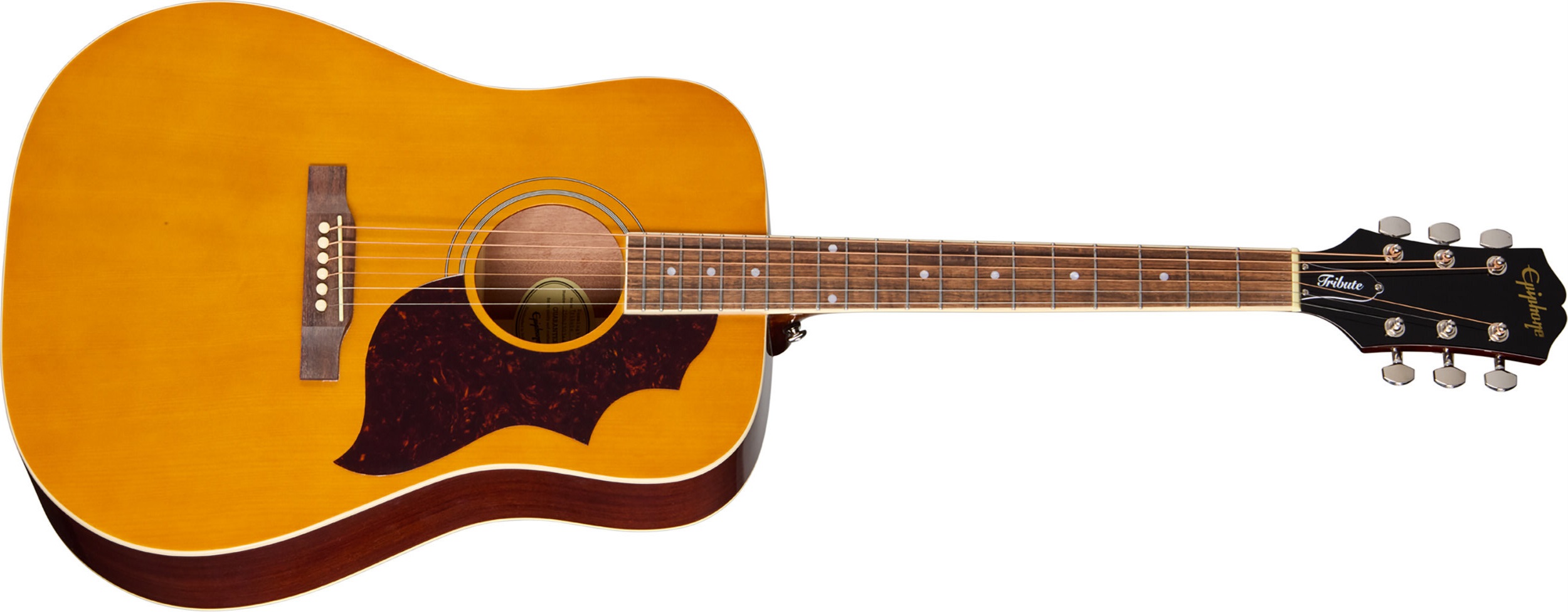Epiphone Hummingbird Tribute​ Antique Natural