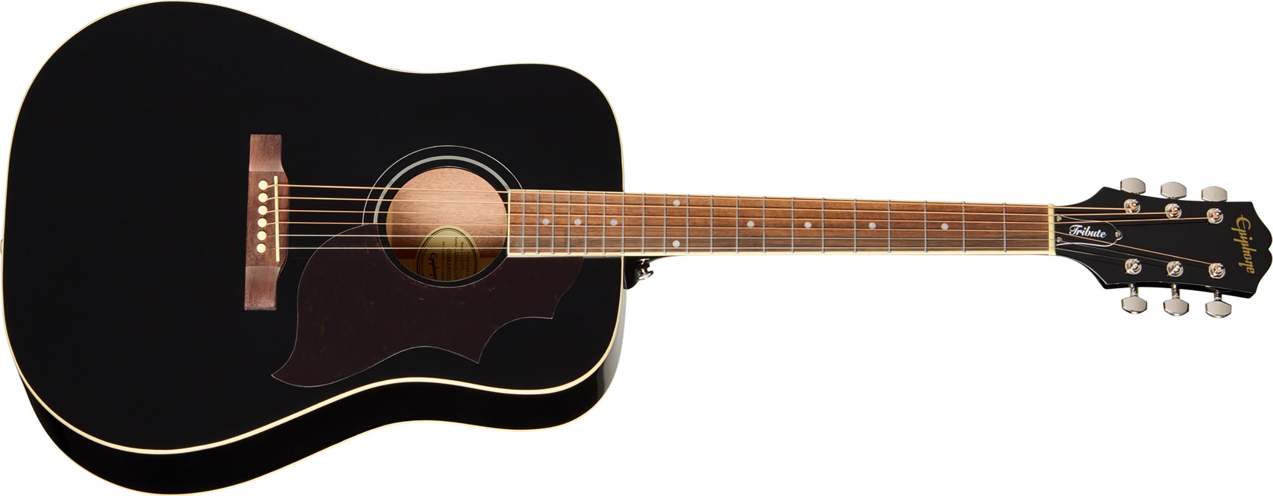 Levně Epiphone Hummingbird Tribute​ Ebony
