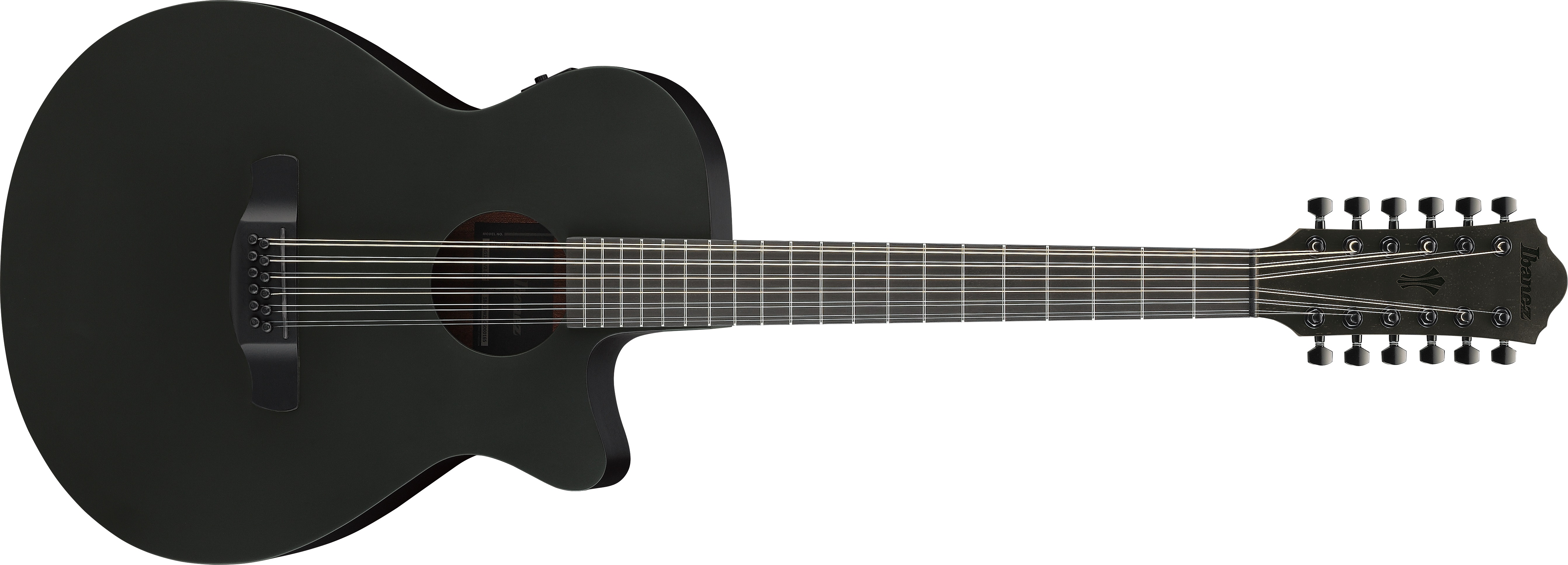 Ibanez AEG1221-BOT