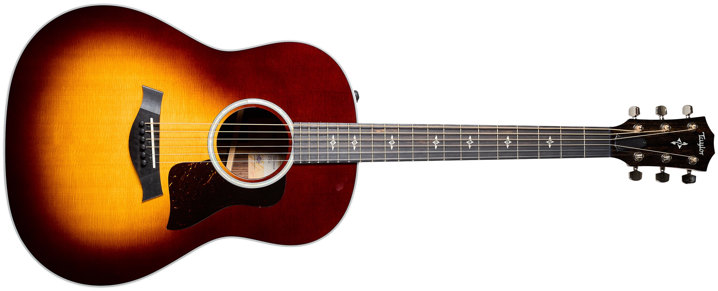 Taylor 2023 417e-R