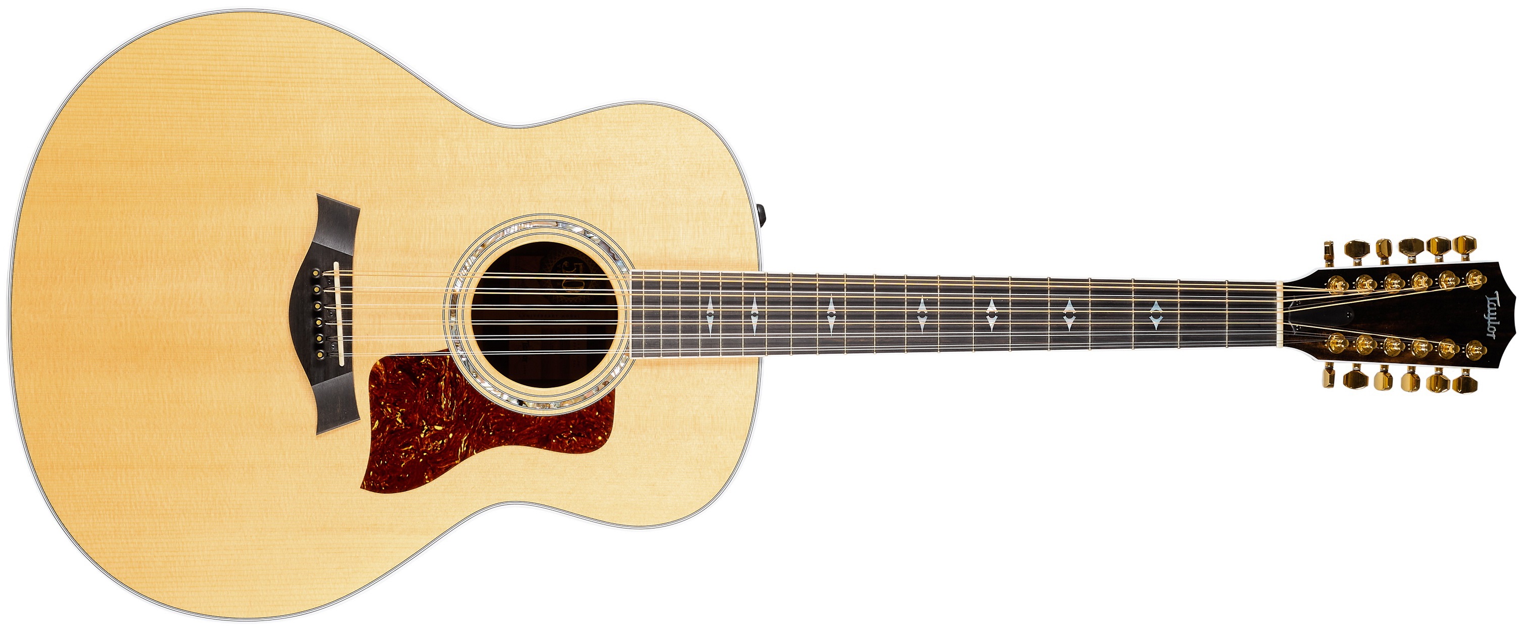 Taylor 2023 858e LTD 50th Anniversary