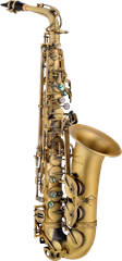 P. Mauriat 76 2nd Edition Vintage dark - Saxophon