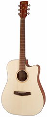 Ibanez PF10CE Natural - Elektroakustische Gitarre