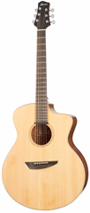 Ibanez PA230E Natural - Elektroakustische Gitarre