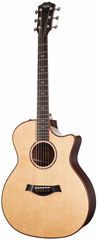 Taylor C14ce B4014 - Elektroakustische Gitarre