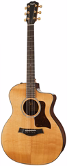 Taylor 214ce Plus 50th Anniversary LTD - Elektroakustische Gitarre