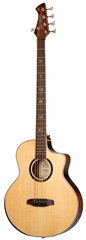 Ortega Ken Taylor Signature 5 NAT