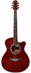 Flight F-230C WR - Akustische Gitarre
