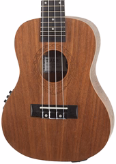 Tanglewood TWT 3 E