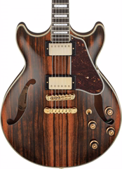 Ibanez AM93ME Natural - Semiakustische Gitarre