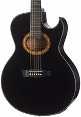 Ibanez EP5 Black Pearl - Elektroakustische Gitarre