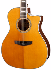 D'Angelico Premier Gramercy Vintage Natural - Elektroakustische Gitarre