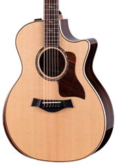 Taylor 854ce - Zwölfsaitige elektroakustische Gitarre