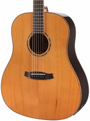 Tanglewood TRS5SE - Elektroakustische Gitarre