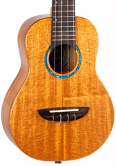 Flight IRIS TINTA CONCERT NA - Akustische Ukulele