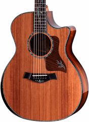 Taylor PS14ce HRW Sinker Redwood Next Generation - Elektroakustische Gitarre