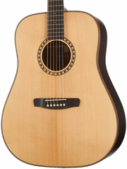 Dowina Danubius DE-S StagePro (gebraucht) - Elektroakustische Gitarre
