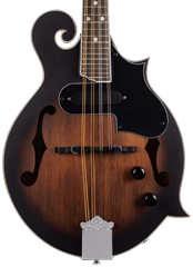 Ortega RMFE30-WB (fast neues) - Elektroakustische Mandoline