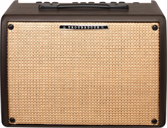 Ibanez T30II (gebraucht) - Combo für akustische Instrumente