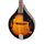 Saiten für Mandoline