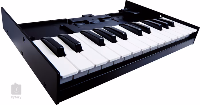 Roland K-25m - Klaviatur für Roland Boutique